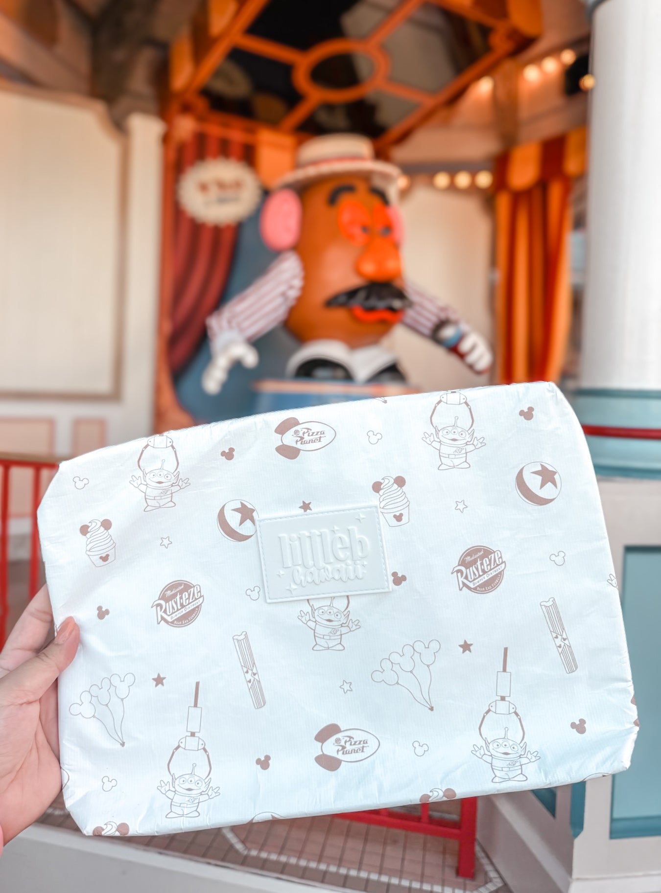 INSULATED COOLER POUCH IN NEUTRAL FAVES