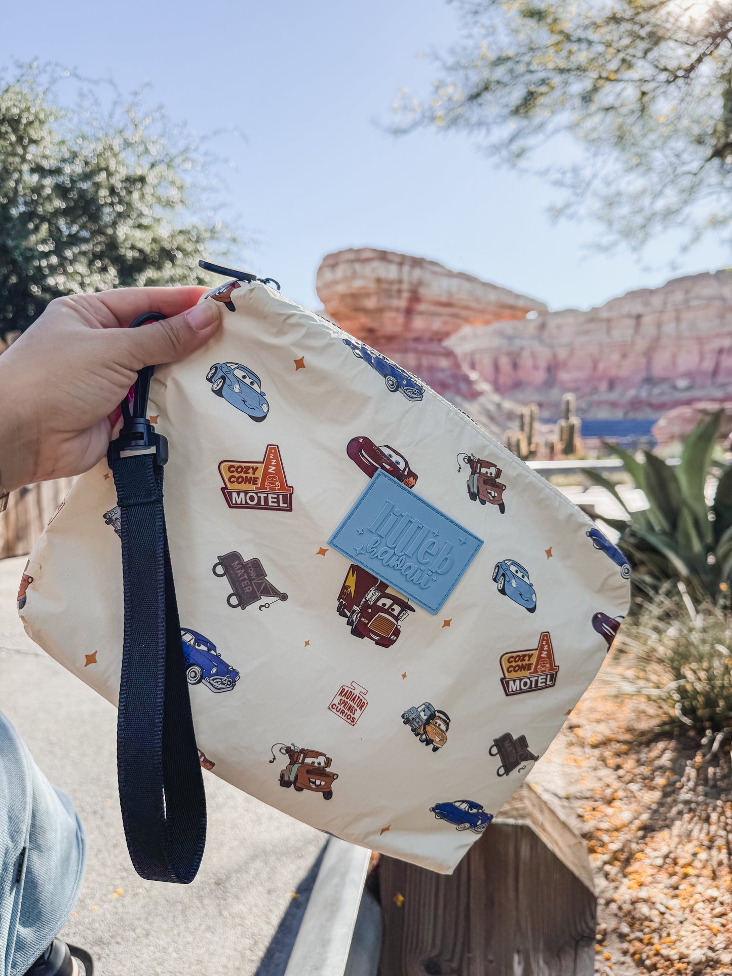 Cars Insulated Pouch